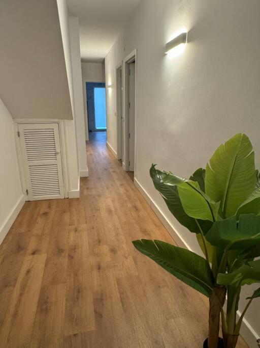 Apartamento Chicharro A 巴埃萨 外观 照片